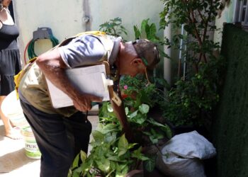 Calor e chuva elevam risco de dengue no Rio de Janeiro