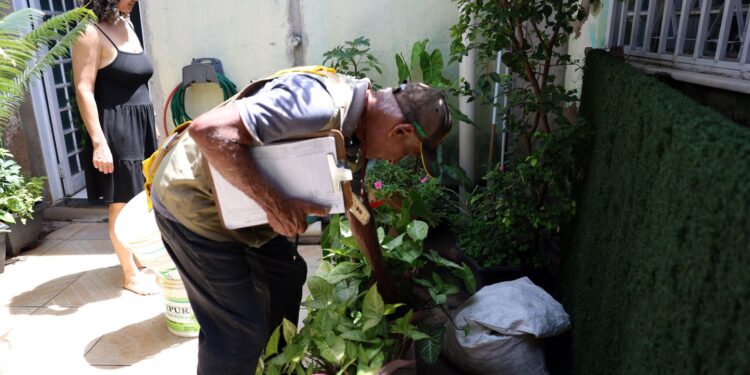 Calor e chuva elevam risco de dengue no Rio de Janeiro