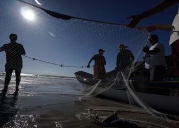 Câncer de pele: Senado avalia prevenção para pescadores e trabalhadores rurais