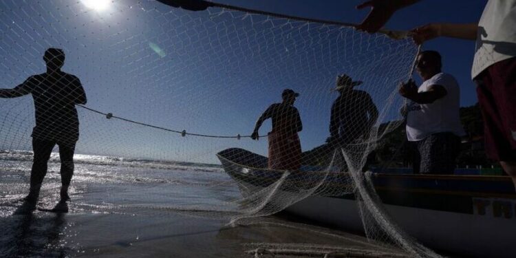 Câncer de pele: Senado avalia prevenção para pescadores e trabalhadores rurais