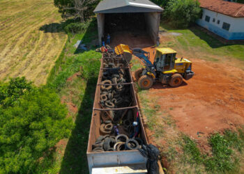 Ação preventiva remove cerca de 60 toneladas de pneus inservíveis para reciclagem