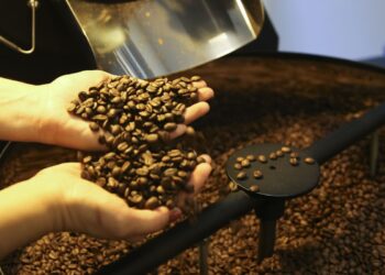 Exportação de café do Brasil cai em 2025, mas bate recorde em receita