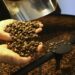 Exportação de café do Brasil cai em 2025, mas bate recorde em receita
