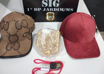 Polícia Civil apreende entorpecente em Jardim