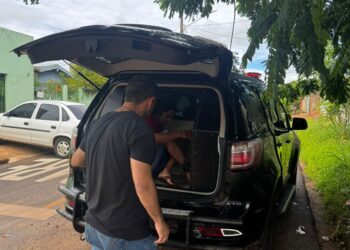 Polícia Civil prende homem por regressão cautelar em Ponta Porã