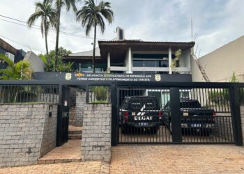 Polícia Civil prende mulher em flagrante por maus tratos de animais e subtração de energia elétrica na Capital