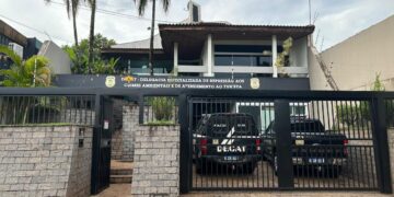 Polícia Civil prende mulher em flagrante por maus tratos de animais e subtração de energia elétrica na Capital