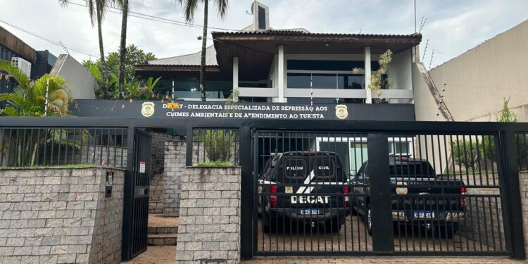 Polícia Civil prende mulher em flagrante por maus tratos de animais e subtração de energia elétrica na Capital