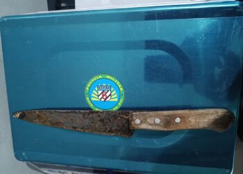 Polícia Militar atende ocorrência de violência doméstica e conduz autor à delegacia em Corumbá