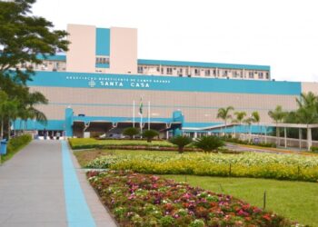 Mulher grávida é atacada por pitbull em rua na capital do estado