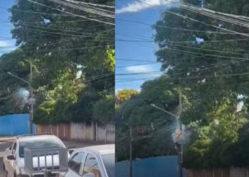 “Electro” em ação: Homem é preso furtando fios de energia