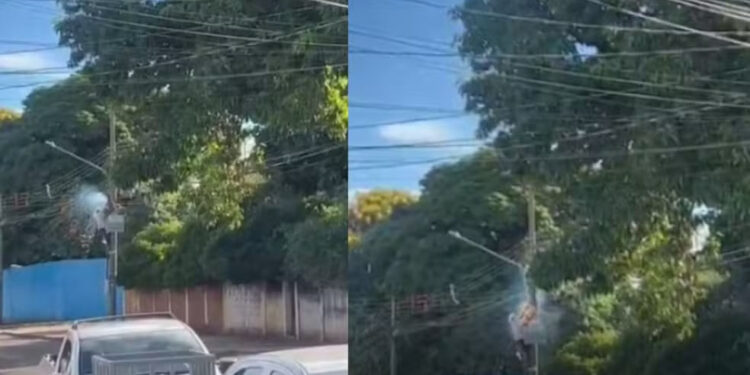 “Electro” em ação: Homem é preso furtando fios de energia