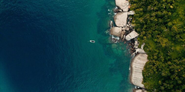 TV Brasil exibe documentário com iniciativas de preservação da costa