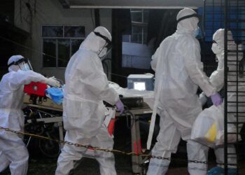 Vírus Nipah não é ameaça para o Brasil, diz Ministério da Saúde