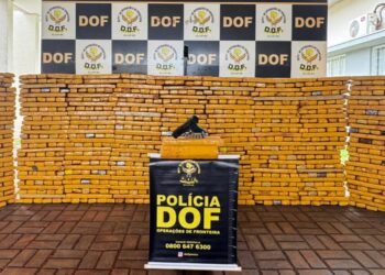 DOF apreende quase 2 toneladas de droga em caminhonete roubada