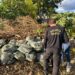 DECAT apreende casal por poluição ambiental com caixas d’água