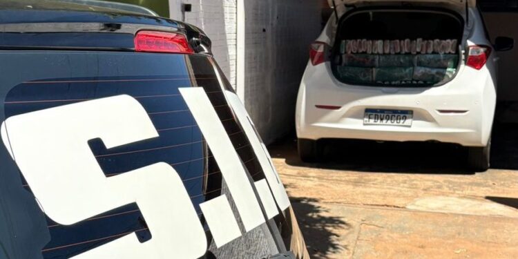 Homem é preso com grande quantidade de drogas em Nova Andradina