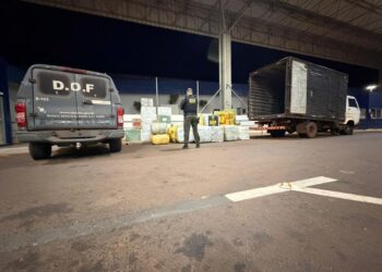 DOF apreende caminhão com carga milionária de cigarros na fronteira
