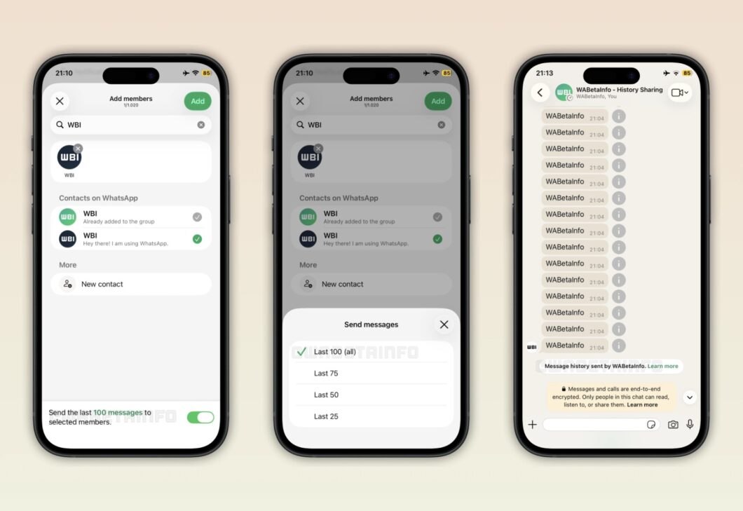 Captura de tela mostra um recurso de compartilhamento de histórico de conversas no WhatsApp