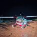 PF e FICCO/TO interceptam aeronave vinculada ao tráfico de drogas