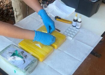 Polícia Civil realiza incineração de entorpecentes na Capital