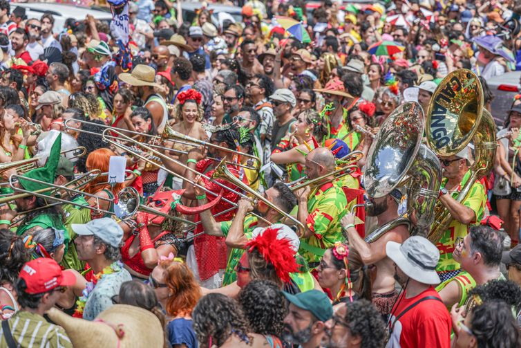 Brasília (DF), 17/02/2026 -Carnaval de rua no Bloco Calango Careta.
Foto: Joédson Alves/Agência Brasil