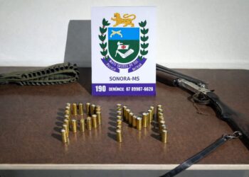 Polícia Militar apreende espingarda na zona rural de Sonora