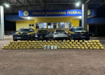 PRF apreende mais de 100 kg de skunk em Miranda
