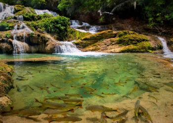 Ação do MPMS busca frear degradação de rios na Serra da Bodoquena