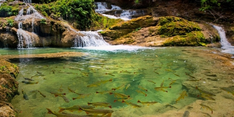 Ação do MPMS busca frear degradação de rios na Serra da Bodoquena