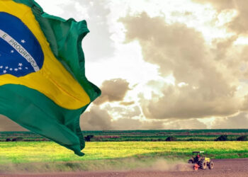 Dia Nacional do Agronegócio: Reconhecendo a Força do Campo Brasileiro
