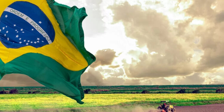 Dia Nacional do Agronegócio: Reconhecendo a Força do Campo Brasileiro