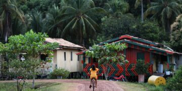 Amazônia Legal concentra quase metade dos conflitos de terra no Brasil
