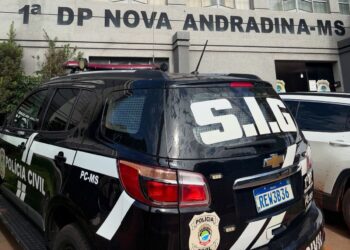 Autor de diversos furtos é preso pela Polícia Civil em Nova Andradina