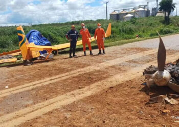 Queda de avião agrícola deixa piloto morto em MT
