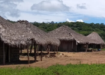 CDH vai analisar inclusão digital de ribeirinhos, quilombolas e indígenas
