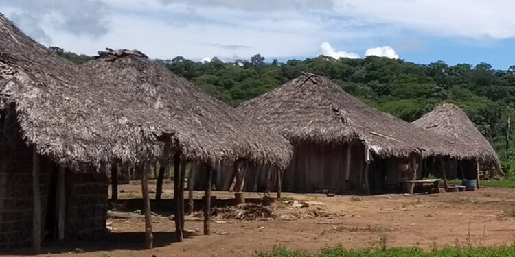 CDH vai analisar inclusão digital de ribeirinhos, quilombolas e indígenas