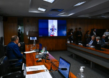 CRA aprova incentivo à criação de hortas comunitárias em escolas