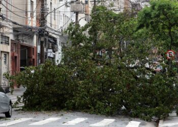 Defesa Civil de São Paulo alerta para risco de deslizamentos de terra