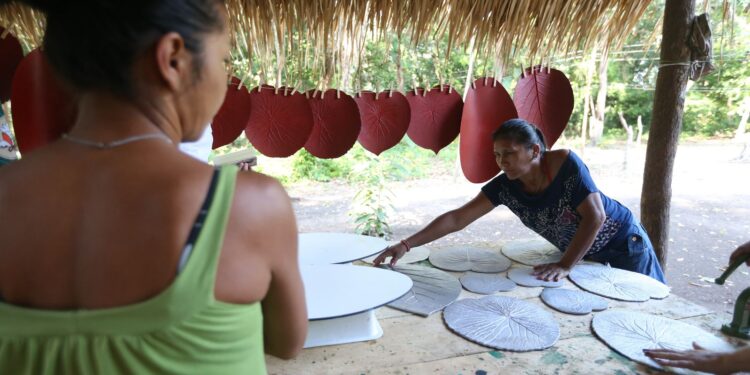 Governo abre inscrições para regularizar áreas na Amazônia