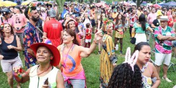 Mais de 70 blocos agitam o carnaval de rua em Brasília