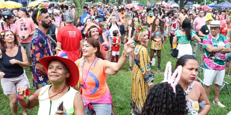 Mais de 70 blocos agitam o carnaval de rua em Brasília