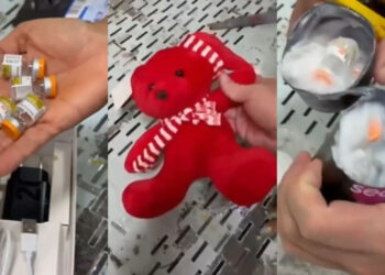 Ursinho de pelúcia esconde Mounjaro contrabandeado em MS