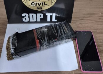 Polícia Civil apreende maconha durante ação de combate ao tráfico de drogas em Três Lagoas
