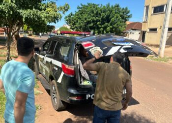Polícia Civil cumpre três mandados de prisão em Ponta Porã
