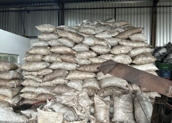 Polícia Civil fecha carvoaria clandestina em Campo Grande