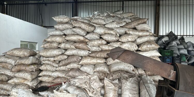 Polícia Civil fecha carvoaria clandestina em Campo Grande