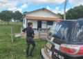 Polícia Civil prende homem por tentativa de estupro, em Coxim