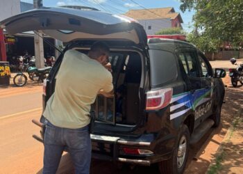 Policiais cumprem mandado de prisão por descumprimento de medida protetiva em Campo Grande