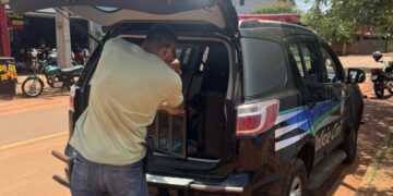 Policiais cumprem mandado de prisão por descumprimento de medida protetiva em Campo Grande